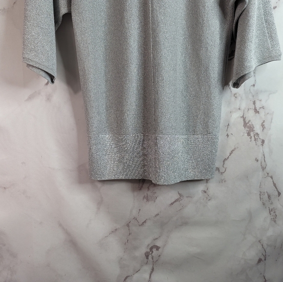 Talbots Short Sleeve Sweater Size Small Silver Sparkle Shimmer Metallic Knit Top - Picture 7 of 11